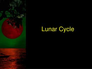 Lunar Cycle