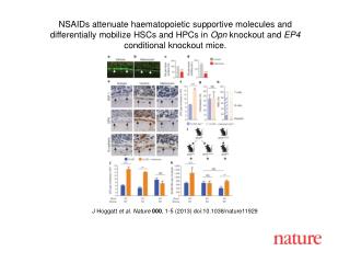 J Hoggatt et al. Nature 000 , 1-5 (2013) doi:10.1038/nature 11929