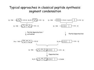 Typical approaches in classical peptide synthesis: segment condensation