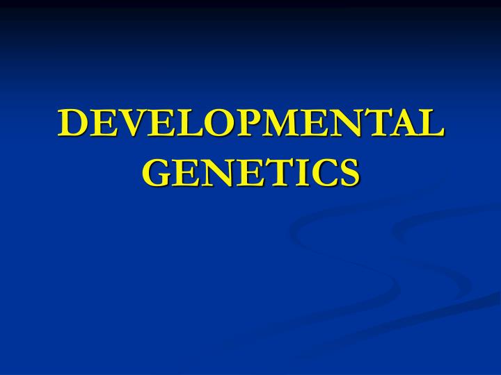 developmental genetics