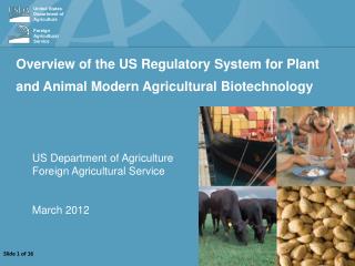 Overview of the US Regulatory System for Plant and Animal Modern Agricultural Biotechnology