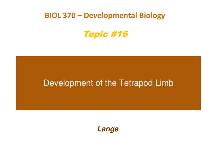 development of the tetrapod limb
