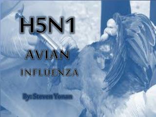 H5N1 AVIAN INFLUENZA