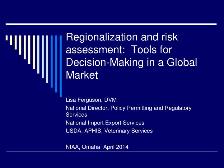 regionalization and risk assessment tools for decision making in a global market