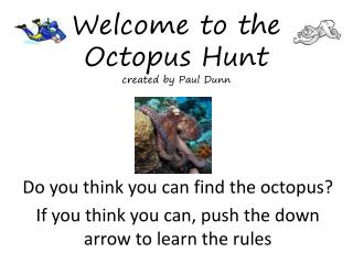 Welcome to the Octopus Hunt created by Paul Dunn