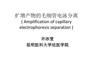 ???????????? ( Amplification of capillary electrophoresis separation )