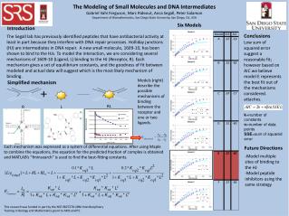 The Modeling of Small Molecules and DNA Intermediates