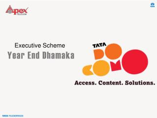 Executive Scheme