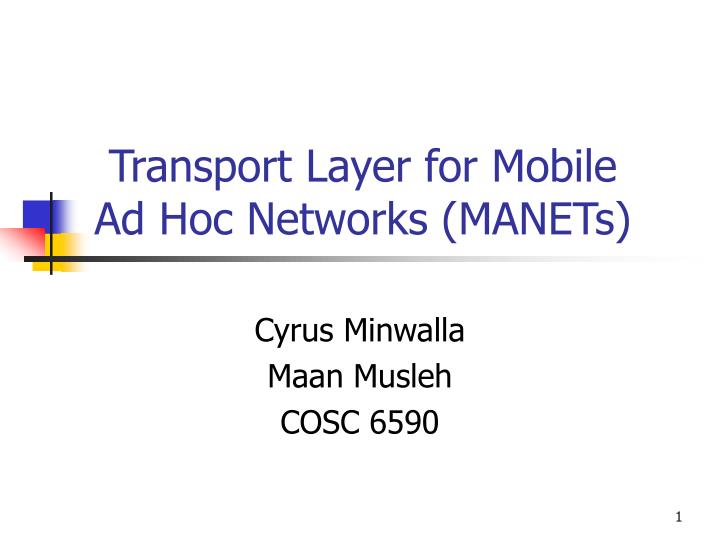 transport layer for mobile ad hoc networks manets