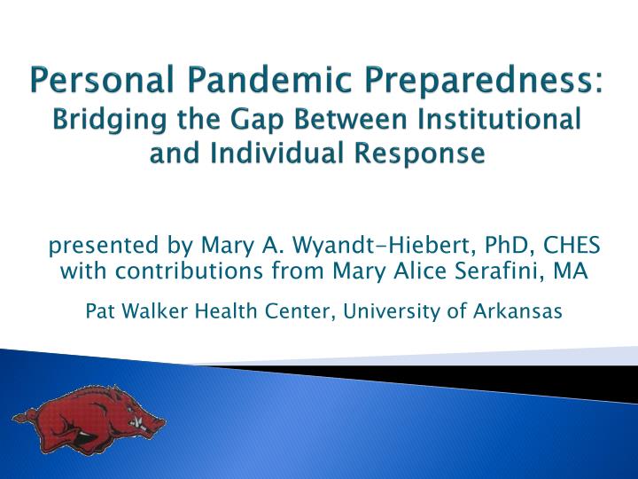 personal pandemic preparedness bridging the gap between institutional and individual response