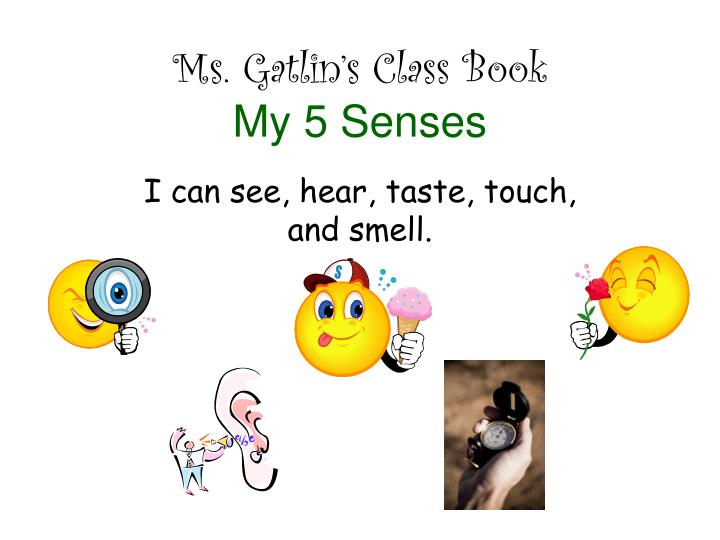 ms gatlin s class book my 5 senses