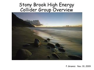 Stony Brook High Energy Collider Group Overview