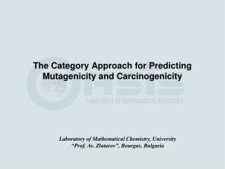 The Category Approach for Predicting Mutagenicity and Carcinogenicity