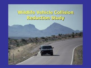 Wildlife Vehicle Collision Reduction Study