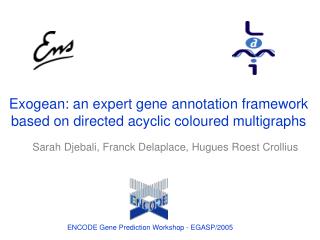 Exogean: an expert gene annotation framework based on directed acyclic coloured multigraphs