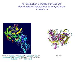 An introduction to metalloenzymes and biotechnological approaches to studying them 12.755 L10