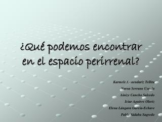 qu podemos encontrar en el espacio perirrenal