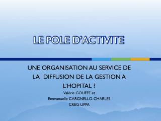 le pole d activite