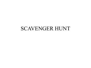 scavenger hunt