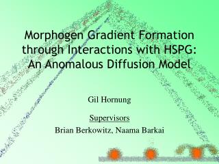 Morphogen Gradient Formation through Interactions with HSPG: An Anomalous Diffusion Model