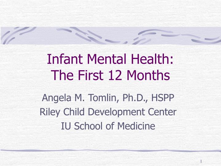 infant mental health the first 12 months