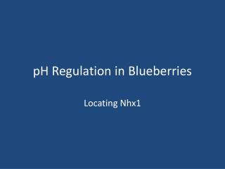 pH Regulation in Blueberries