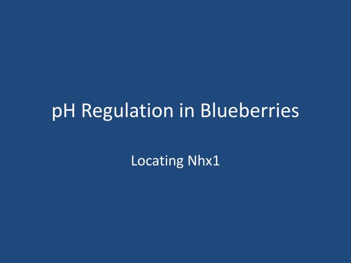 ph regulation in blueberries