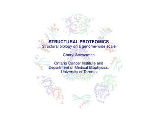 STRUCTURAL PROTEOMICS Structural biology on a genome-wide scale Cheryl Arrowsmith