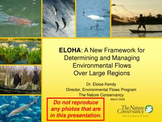 Dr. Eloise Kendy Director, Environmental Flows Program The Nature Conservancy