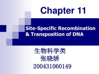 Site-Specific Recombination &amp; Transposition of DNA