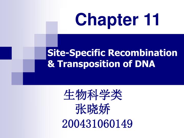 site specific recombination transposition of dna