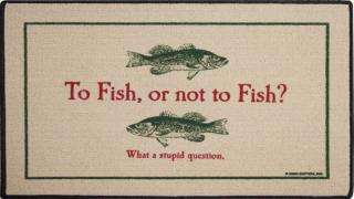 To Fish or Not to Fish: What a Stupid Question What Are You Fishing For?