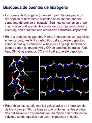 Busqueda de puentes de hidrogeno Un puente de hidrogeno (puente-H) permite que pedazos