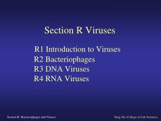 R1 Introduction to Viruses