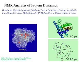 NMR Analysis of Protein Dynamics