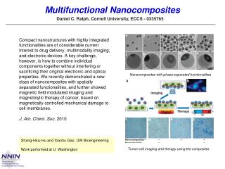 Multifunctional Nanocomposites