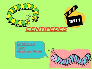 CENTIPEDES