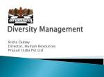 Diversity Management - slide 1