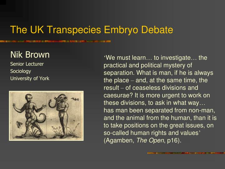 the uk transpecies embryo debate