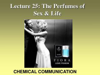 Lecture 25: The Perfumes of Sex &amp; Life