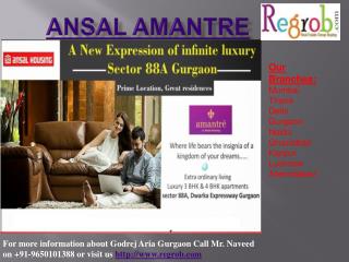 2/3 bhk apartments in ansal amantre