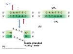 Fig. 11-1