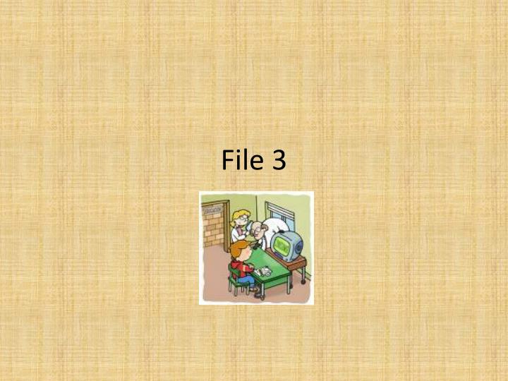 file 3