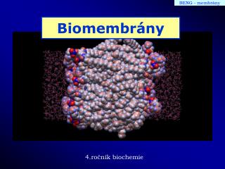 biomembr ny