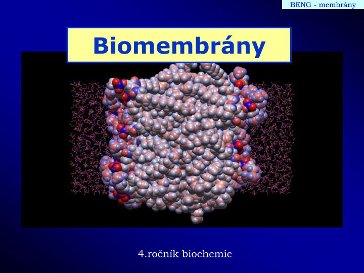 biomembr ny