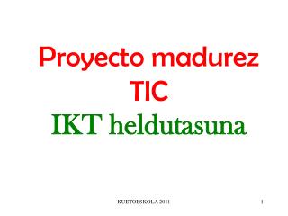 proyecto madurez tic ikt heldutasuna