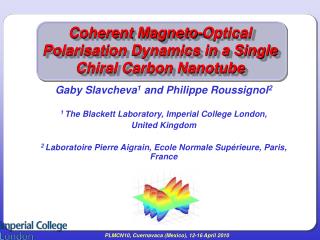 Coherent Magneto-Optical Polarisation Dynamics in a Single Chiral Carbon Nanotube