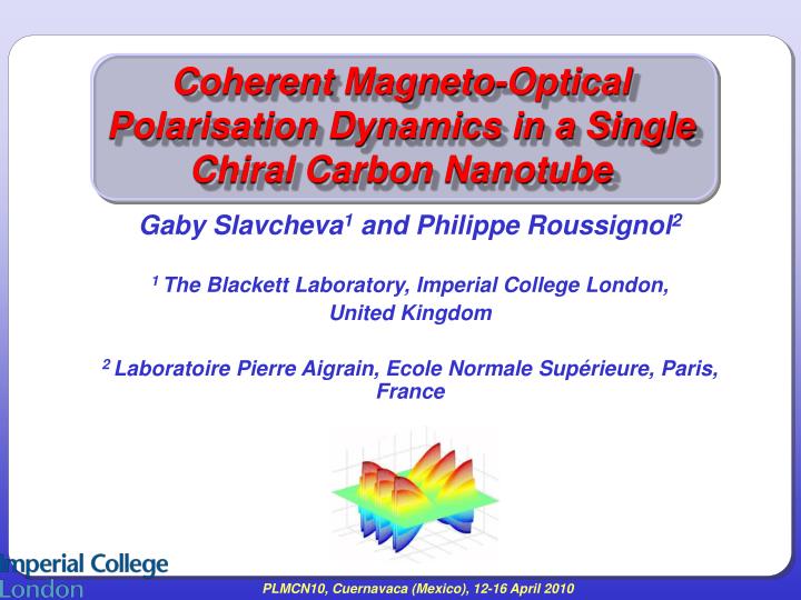 coherent magneto optical polarisation dynamics in a single chiral carbon nanotube