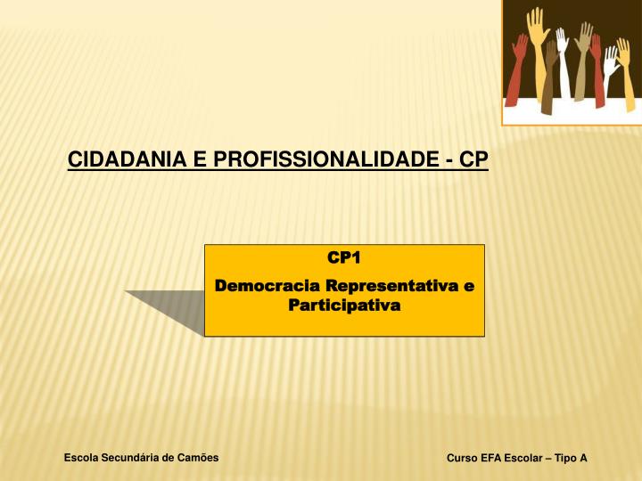 democracia representativa