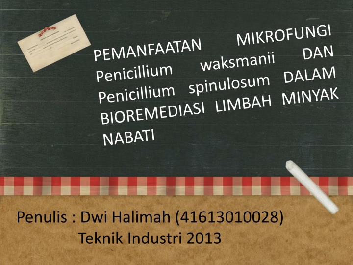 penulis dwi halimah 41613010028 teknik industri 2013